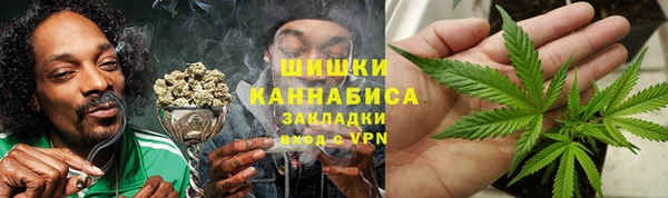 прущие грибы Армянск