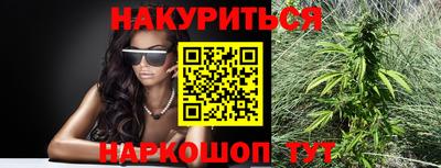 сатива Краснодар