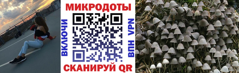 Галлюциногенные грибы мухоморы  Лесной 