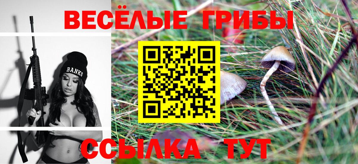 Лесной  Псилоцибиновые грибы MAGIC MUSHROOMS  Псилоцибиновые грибы ЛСД  Вход с VPN 